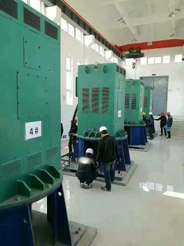 荣邦乡某污水处理厂使用我厂的立式高压电机安装现场